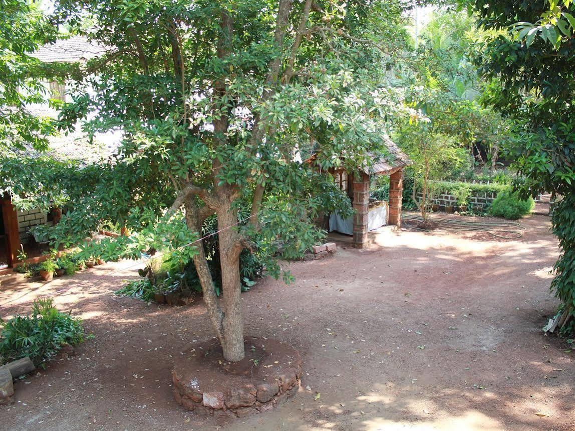 Hôtel Cancio'S House à Aldona Extérieur photo